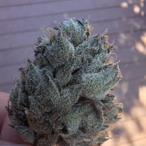 FrazzleFruit