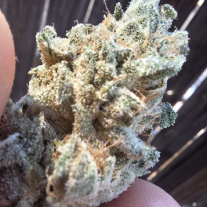 BangBerry